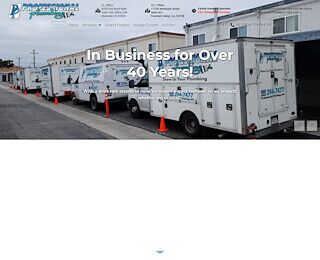 professional-plumbing.com